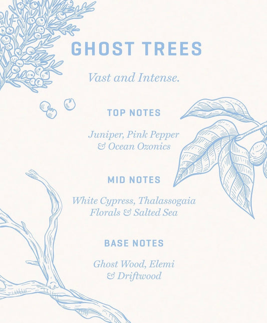 F&R. - Solid Fragrance